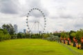 Ferris Wheel surrounded by greenery in the Gardens by the Bay under a cloudy sky in Singapore Royalty Free Stock Photo