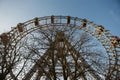 Ferris wheel and a tree on a sunny day at Vienna, Austria