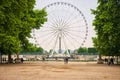 A Ferris wheel in the Tuileries garden in Paris Royalty Free Stock Photo