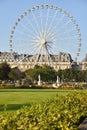 Ferris Wheel at Tuileries Garden in Paris, France Royalty Free Stock Photo
