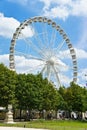 Ferris Wheel at the Tuileries Garden, Paris
