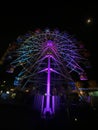 Ferris wheels at the night Royalty Free Stock Photo