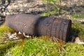 Ferruginous artillery whizzbang high explosive of the Second World War in forest of Belarus