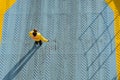 Ferry boat crew member on loading hatch Royalty Free Stock Photo