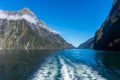 Ferry Cruise in Milford Sound, New Zealand Royalty Free Stock Photo