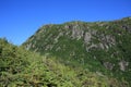 Ferry Gulch Landscape Royalty Free Stock Photo