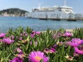 Ferry at the pier in Preko