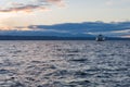 A ferry at sunset, Edmonds, WA Royalty Free Stock Photo