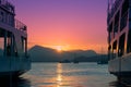 Ferryboats docked in marina, beautiful pink sky in the background; summer/travel background with copy space