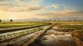 fertile alluvial plains landscape