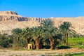 Fertile banks of the Nile. Valley of the Nile river. Palm trees and fields on Nile riverside in Egypt Royalty Free Stock Photo