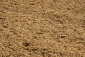 Fertile brown plowed soil closeup