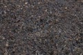 Fertile dirt soil texture Royalty Free Stock Photo