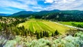 Fertile Farmland along the Nicola River between Merritt and Spences Bridge in British Columbia