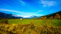 The fertile Farmland of the Fraser Valley of British Columbia Royalty Free Stock Photo