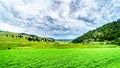 The fertile farmland among the rolling hills along Highway 5A between Kamloops and Merritt Royalty Free Stock Photo