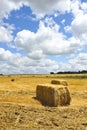 Straw bales stacked in a field of grain harvested Royalty Free Stock Photo