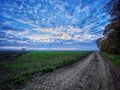 Flat land Vojvodina