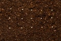 Fertile garden soil texture background top view Royalty Free Stock Photo