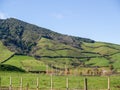 Fertile green grassland hill from road under blue sky