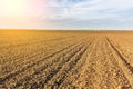 Fertile land, arable crop field. Agricultural landscape