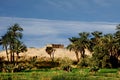 Fertile plains at river Nile in Egypt Royalty Free Stock Photo