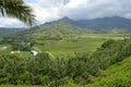 Fertile Plantation Valley