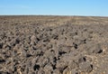 Fertile, plowed soil of an agricultural field