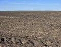 Fertile, plowed soil of an agricultural field