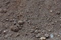 Fertile rough soil background and texture, top view Royalty Free Stock Photo
