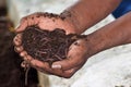 Earthworm and healthier soil that suitable for planting