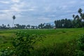Fertile valley in Kawatuna Central Sulawesi Royalty Free Stock Photo