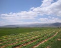 Lebanon, Fertile Valley Royalty Free Stock Photo