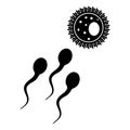 Fertilisation and ovulation concept Royalty Free Stock Photo