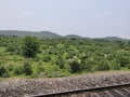 FertilityGreen field as well as green mountain in India neat and clean state morning view