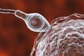 Fertilization of human egg cell by spermatozoan Royalty Free Stock Photo