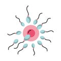 Fertilization of the ovum by the spermatozoon Royalty Free Stock Photo