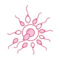 Fertilization of the ovum by the spermatozoon Royalty Free Stock Photo