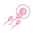 Fertilization of the ovum by the spermatozoon Royalty Free Stock Photo