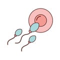 Fertilization of the ovum by the spermatozoon Royalty Free Stock Photo