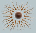 Fertilization: sperm and egg cell Royalty Free Stock Photo