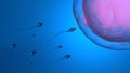 Fertilization, In vitro ferilization or artificial insemination, 3D-rendering