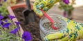 Fertilizer for flowers. Close-up of a gardener& x27;s hand in a glove fertilizing flowers in the street. The process of