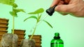 Fertilizer for seedlings. Growth energy for plants.Seedling root system activator in a green glass bottle, a cucumber