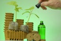 Fertilizer for seedlings. Seedling root system activator in a green glass bottle, a cucumber plant and a pipette in a