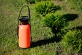 Fertilizer sprayer and a row of thujas on green lawn. Seasonal garden work concept