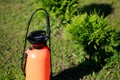 Fertilizer sprayer and a row of thujas on green lawn. Spraying thuja trees against plant diseases and pests concept