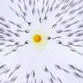 Fertilizing concept. Egg and spoons symbols of woman egg and man spermatozoa. Biology for children. Imitation of