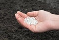 Fertilizing soil with mineral fertilizer in spring. A gardener is adding mineral fertilizer to replenish the soil in the vegetable