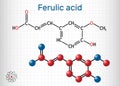 Ferulic acid, coniferic acid, C10H10O4 molecule. It is phenolic acid, an antioxidant, an anti-inflammatory agent, an apoptosis Royalty Free Stock Photo